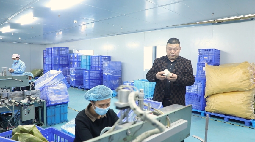 江華 湘商回歸潮涌，家居制造報(bào)桑梓